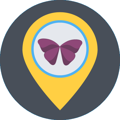 contact KMS illustration graphic