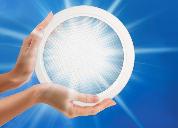 Natural Light print design sample