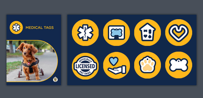 KMS Creative Design process for catalog production step 3