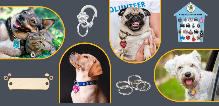 KMS Creative Design process for catalog production step 4