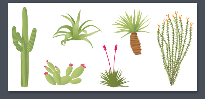 KMS Creative Design process for illustrations step 5